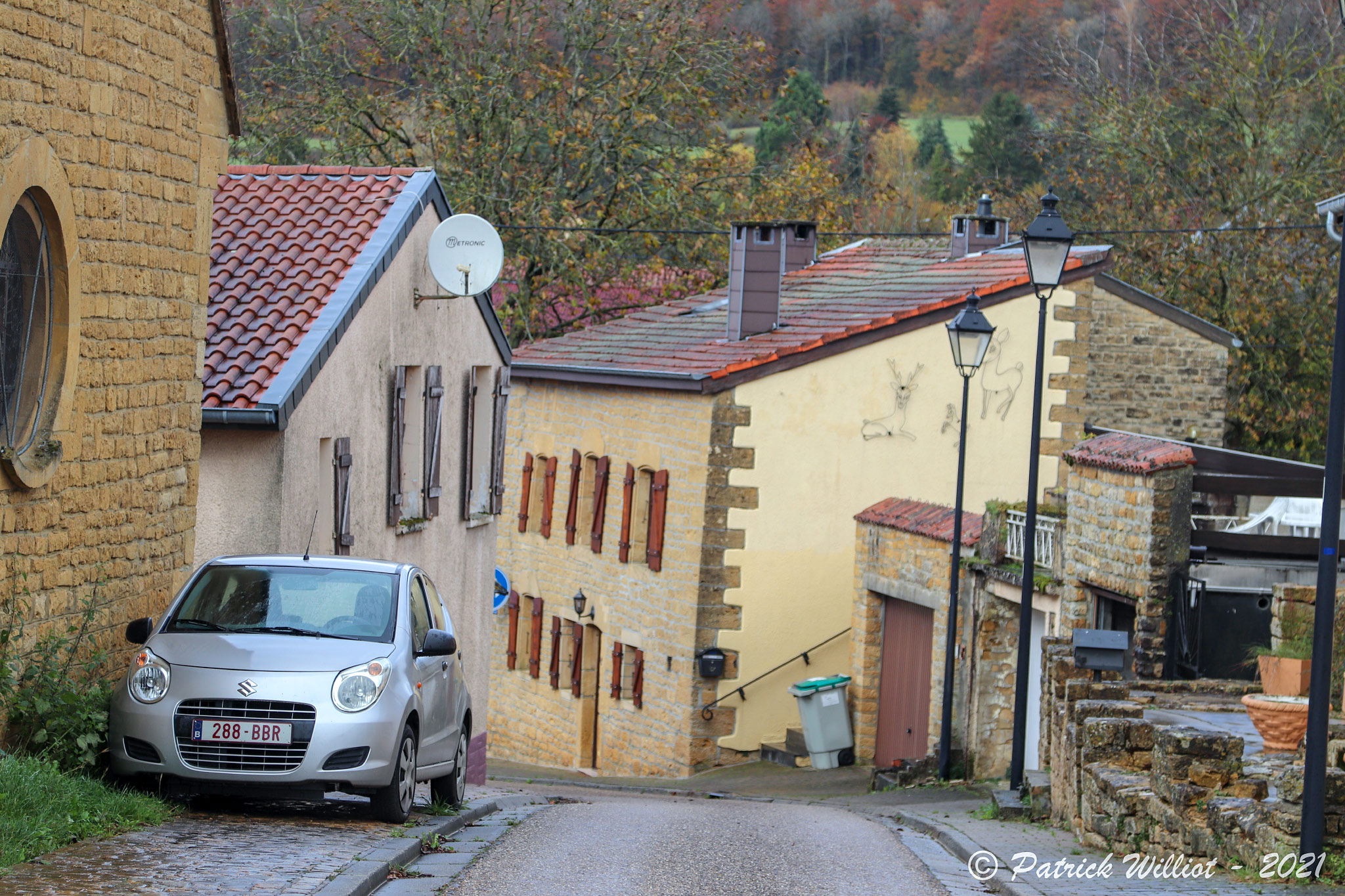 Torgny
